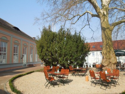 Foto: Mutiger Ritter